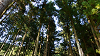 camp28 (639)_thumb.png